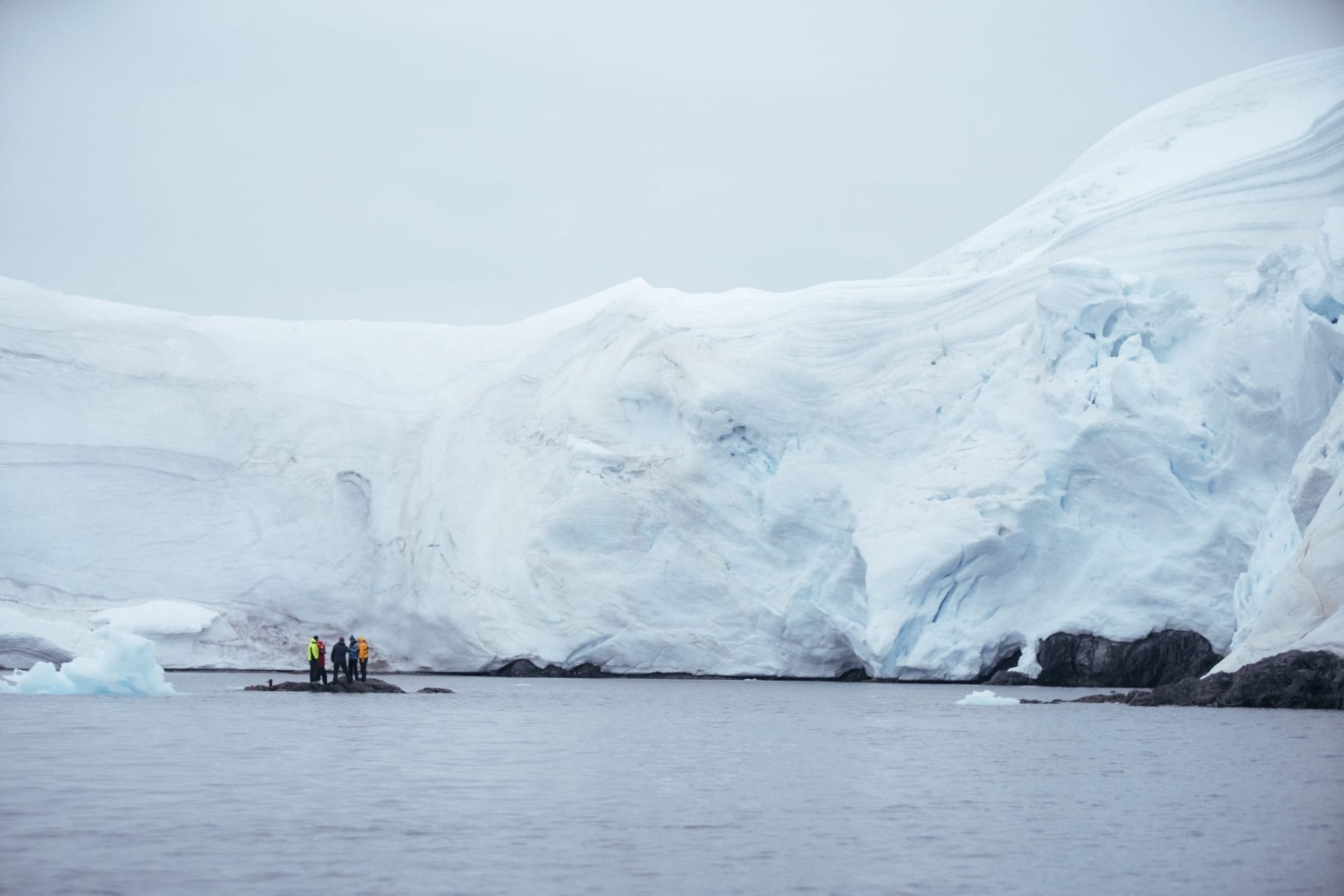 Research team on a small outcropping of land, looking up at the Antarctic ice sheet.