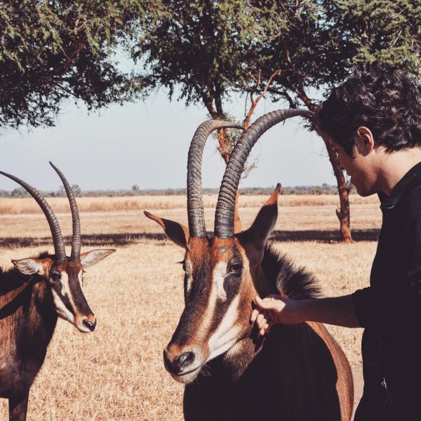 Sylvain in Africa