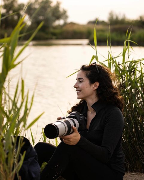 Roxy in a wildlife photography shot